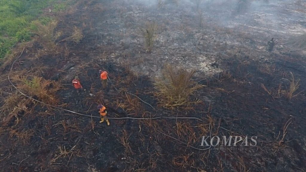 Kebakaran lahan di areal kebun kelapa sawit PT Wahana Subur Sawit Indah di Kampung Sri Gemilang, Kecamatan Koto Gasib, Siak, Jumat (26/7/2019).