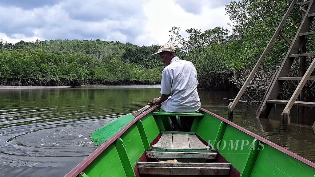 Seorang pemandu wisata mengayuh perahu di dermaga wisata hutan mangrove Kelurahan Mentawir, Kecamatan Sepaku, Penajam Paser Utara, Kalimantan Timur, Minggu (18/9/2022).