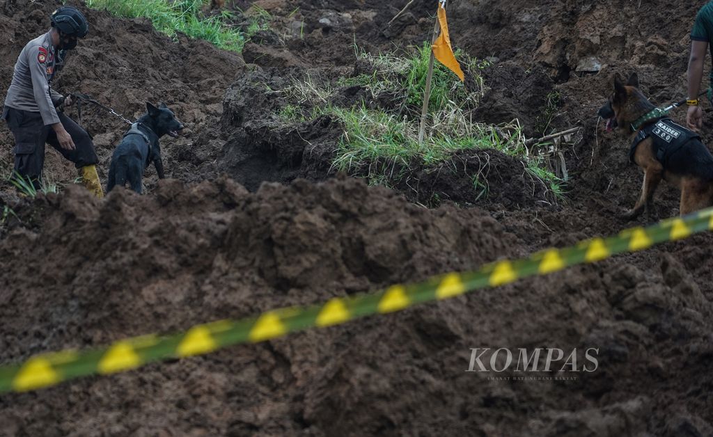 Anjing pelacak diterjunkan untuk melakukan pencarian korban yang masih tertimbun longsor di Cijedil, Kabupaten Cianjur, Jawa Barat, Kamis (24/11/2022). 