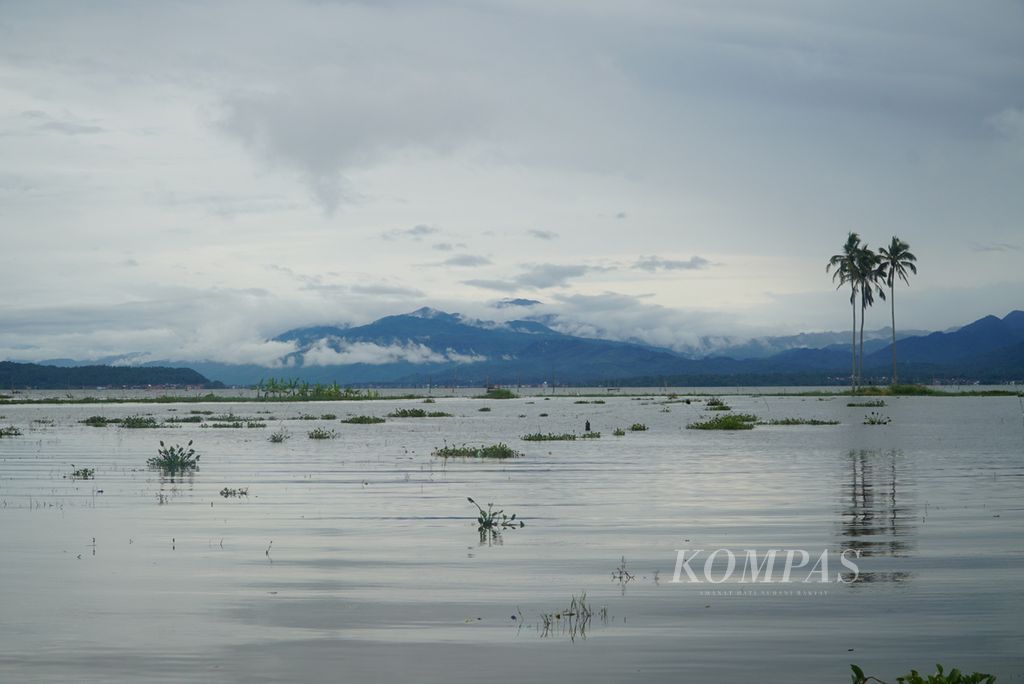Areal persawahan tenggelam oleh banjir akibat meluapnya Danau Kerinci di Desa Keluru, Kecamatan Keliling Danau, Kabupaten Kerinci, Jambi, Rabu (17/1/2024). 