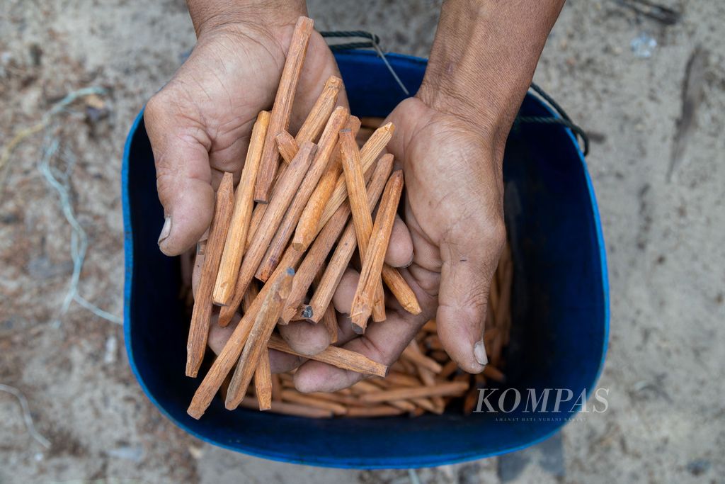 Zulkifli (51) menunjukkan pasak yang digunakan untuk menyambungkan papan dengan kerangka kapal kayu nelayan, atau disebut juga pompong, di Desa Kelanga, Kecamatan Bunguran Timur Laut, Kabupaten Natuna, Kepulauan Riau, Selasa (29/3/2022).