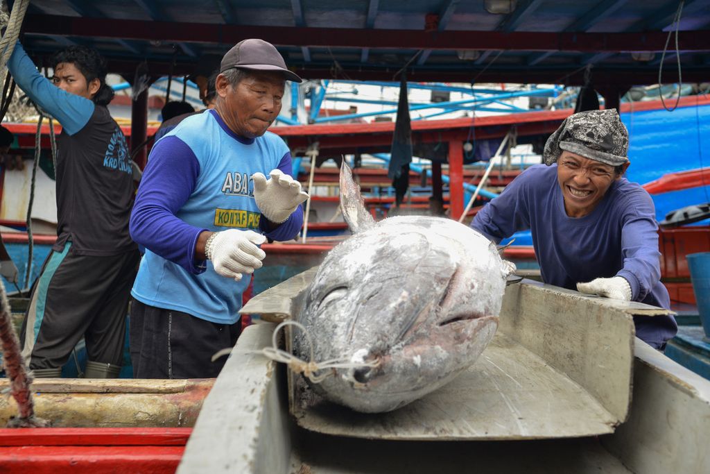 Sejumlah pekerja mengeluarkan ikan dari lambung kapal untuk ditimbang di Pelabuhan Perikanan Samudera Nizam Zachman, Jakarta Utara, Rabu (28/12/2022). Kementerian Kelautan dan Perikanan memproyeksikan nilai ekspor perikanan pada 2022 sekitar 6 miliar dollar AS atau Rp 93,6 triliun. 