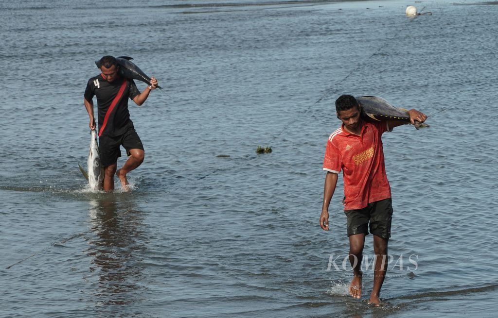 Nelayan memanggul ikan tuna hasil tangkapan di pantai Desa Kenari, Kabupaten Pulau Morotai, Maluku Utara, Agustus 2023.