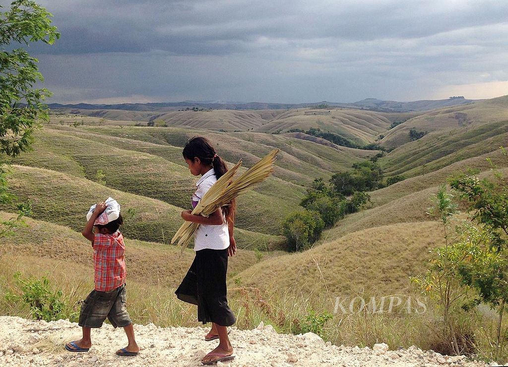 Two children walk on a limestone hill partially covered with savanna in Umbu Ratu Nggay District, Central Sumba, late July 2016. Sumba is one of the areas with the lowest Public Health Development Index (IPKM) and Human Development Index (IPM) in Indonesia.