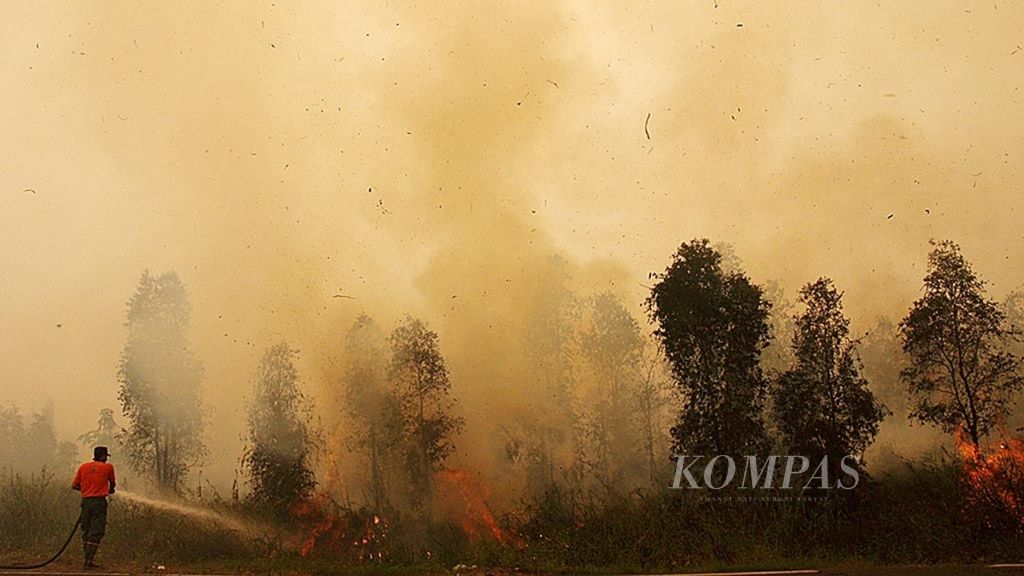 Petugas pemadam kebakaran berusaha memadamkan api di lahan milik warga di Tumbang Nusa, Kabupaten Pulang Pisau, Kalimantan Tengah, Senin (26/10/2015).