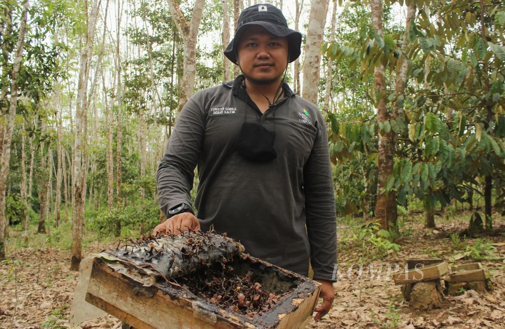 Arief Setiawan (37), penyuluh kehutanan Kesatuan Pengelolaan Hutan Produksi (KPHP) Kendilo, di Desa Rantau Atas, Kecamatan Muara Samu, Kabupaten Paser, Kalimantan Timur, Rabu (23/3/2022).