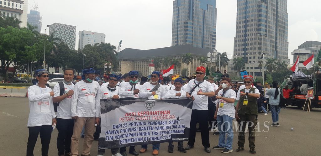 Petani kelapa sawit di bawah naungan Asosiasi Petani Kelapa Sawit Indonesia (Apkasindo) berunjuk rasa di kawasan Monas, Jakarta Pusat, Selasa (17/5/2022).
