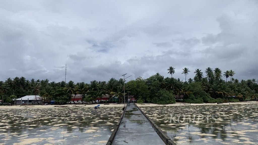 Suasana pagi di dermaga di Pulau Brasi, Kampung Mapia, Distrik Supiori Barat, Kabupaten Supiori, Papua, Selasa (12/9/2023). Pulau Bras masuk dalam bagian Kepulauan Mapia yang merupakan salah satu pulau terluar Indonesia yang berada di ujung utara Indonesia.