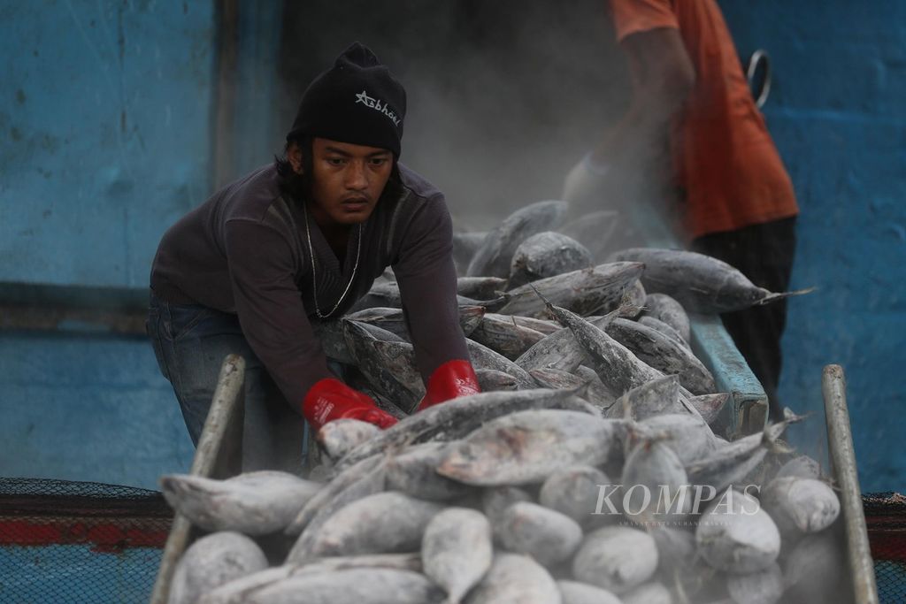 Pekerja borongan mengeluarkan ikan tongkol dari lambung kapal di Pelabuhan Perikanan Samudra Nizam Zachman, Muara Baru, Jakarta Utara, Rabu (15/12/2021). 