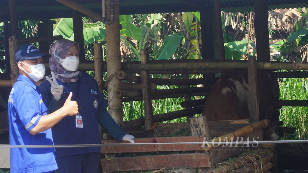 Petugas berfoto sebelum menyuntikkan vaksin penyakit mulut dan kuku pada ternak di Desa Mertan, Kecamatan Bendosari, Kabupaten Sukoharjo, Jawa Tengah, Sabtu (18/6/2022). 