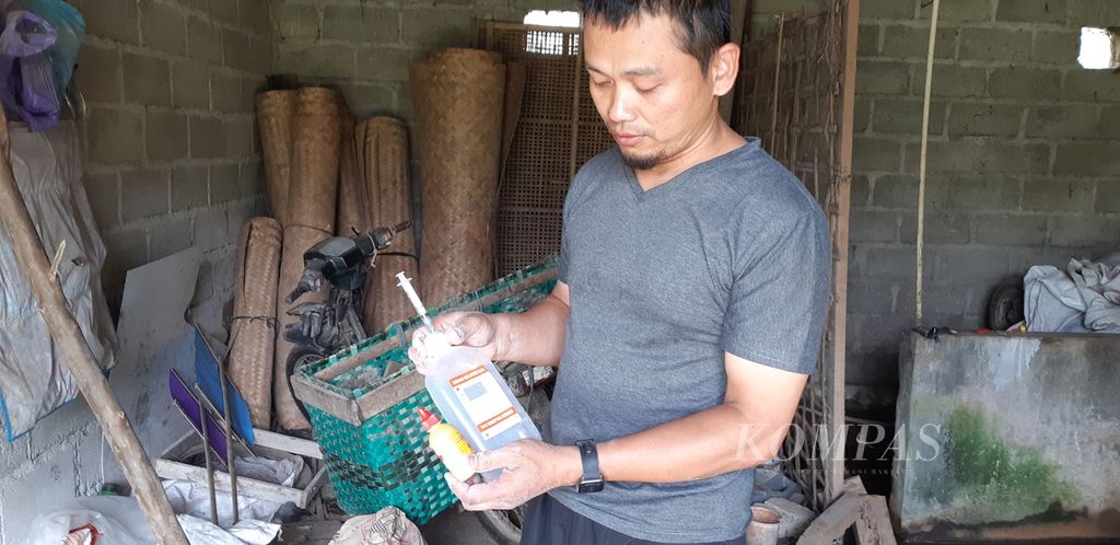 Pujo Santoso (44), warga Ampel, Kabupaten Boyolali, Jawa Tengah, merawat sapi-sapinya yang bergejala penyakit mulut dan kuku dengan segala cara yang diketahuinya. Selama sebulan, empat ekor ternak dirawatnya dengan cairan infus NaCl, formalin, hingga obat luka.