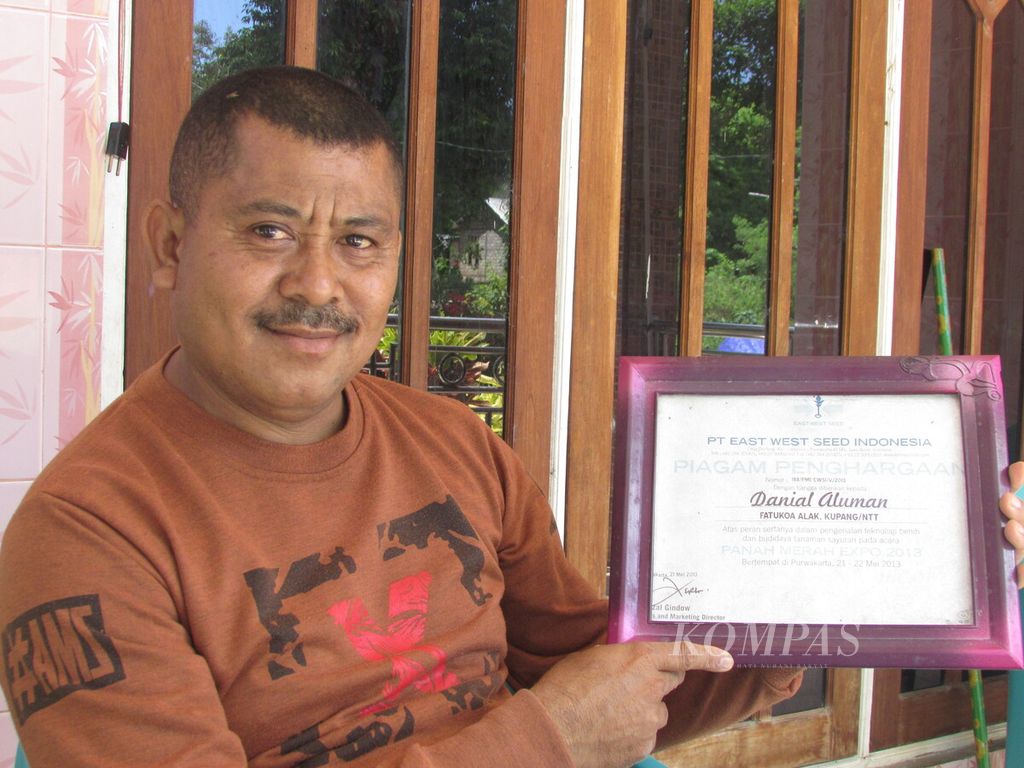 Danial Aluman (53) di Kupang, Senin (7/11/2022). Ia memperlihatkan penghargaan yang diperoleh dari PT East West Seed Indonesia tahun 2013. Kelas dua SD ini begitu bangga atas penghargaan itu, apalagi dilanjutkan dengan khursus singkat tentang cara pemanfaatan bibit, dan pupuk dari perusahaan itu.