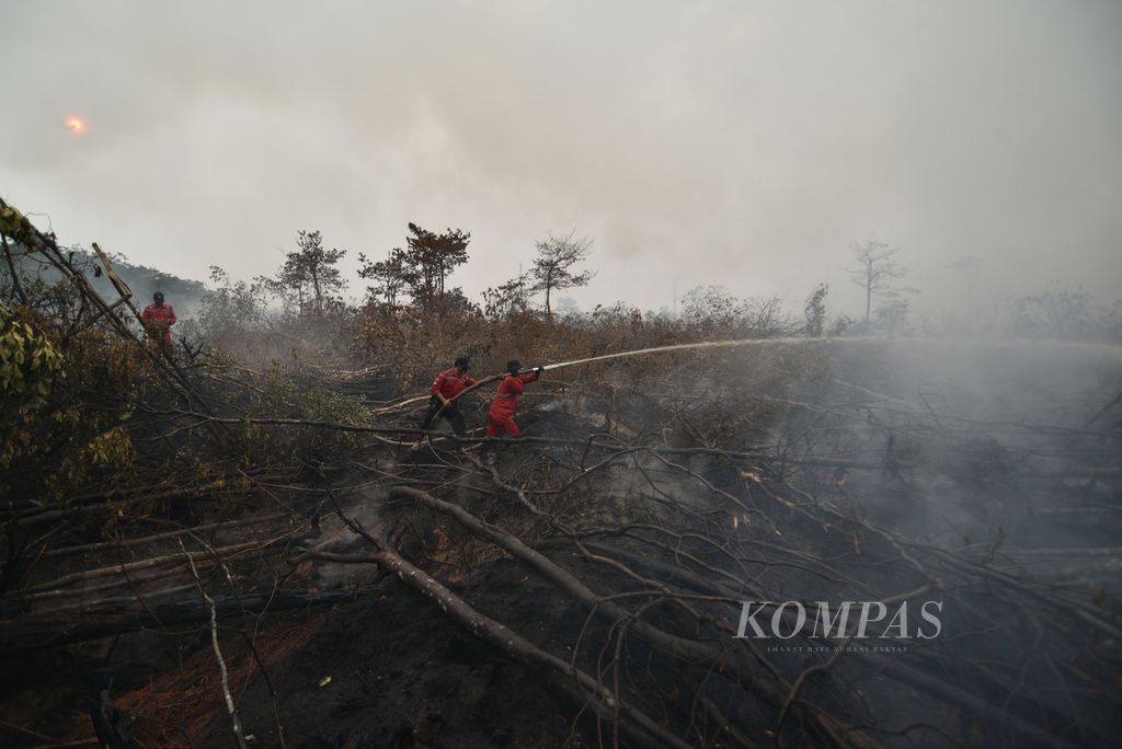Anggota Manggala Agni Daops Sumatera 14 Banyuasin berusaha memadamkan kebakaran lahan gambut seluas 3,2 hektar di kawasan Desa Palem Raya, Kecamatan Indralaya Utara, Kabupaten Ogan Ilir, Sumatera Selatan, Rabu (25/10/2023). 