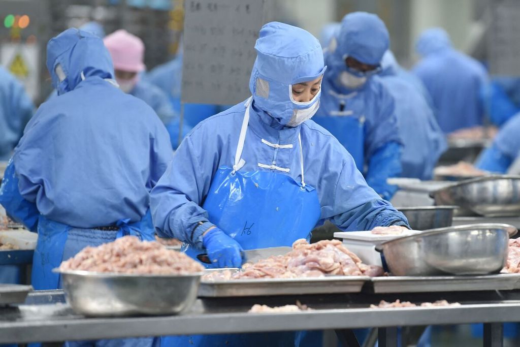 Seorang pekerja di sebuah pabrik makanan di Suqian, Provinsi Jiangsu tengah mengolah daging ayam pada 11 April 2023.