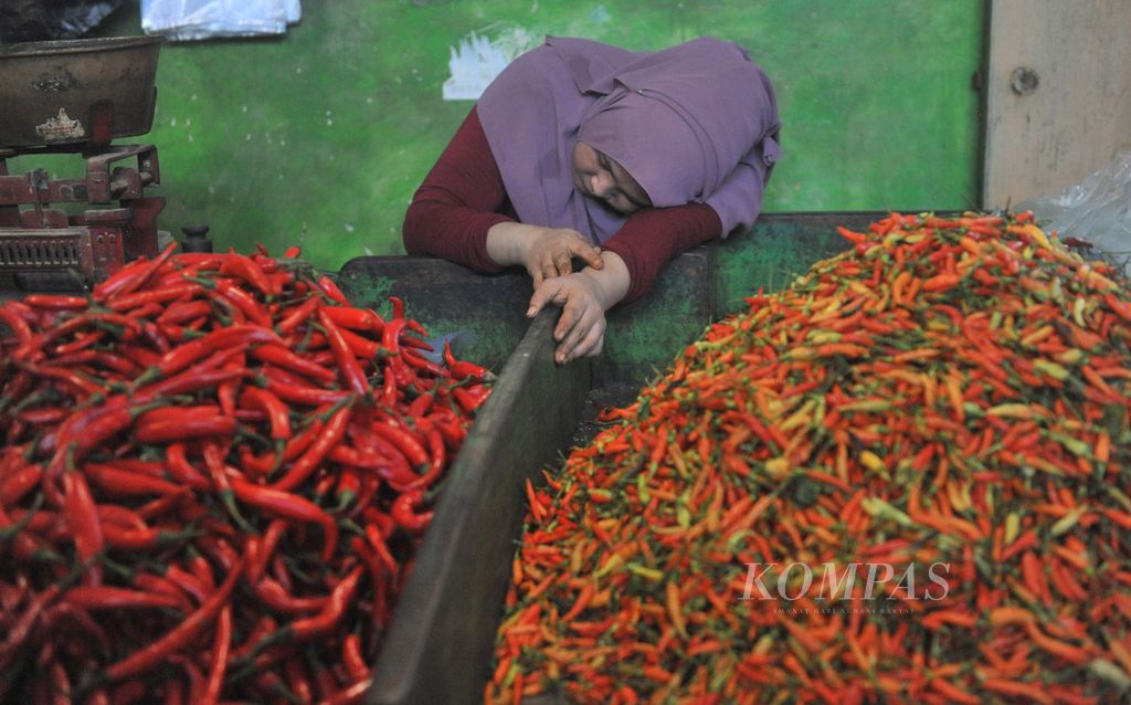 Penjual cabai tertidur saat menunggu pembeli di Pasar Pabean, Surabaya, Jumat (8/12/2023). Harga komoditas cabai di pasar tersebut tinggi sejak satu bulan terakhir. Saat ini harga cabai mencapai Rp 80.000 per kilogram.  