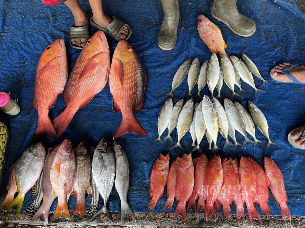 Jejeran ikan segar yang dijual di PPI Paotere, Makassar, Rabu (12/1/2022). Beragam ikan segar didaratkan  dua kali sehari di pelabuhan ikan terbesar di Makassar ini.