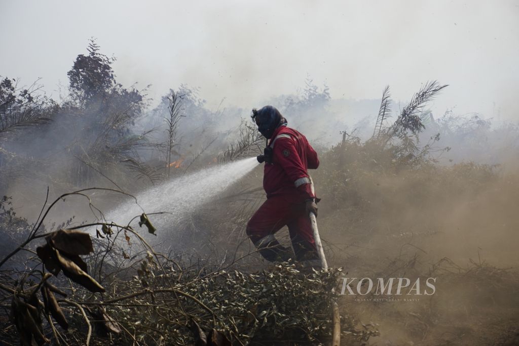 Petugas memadamkan api di lahan gambut yang terbakar di perbatasan Kelurahan Petung dan Desa Giripurwa, Kecamatan Penajam, Kabupaten Penajam Paser Utara, Kalimantan Timur, pada September 2019. 