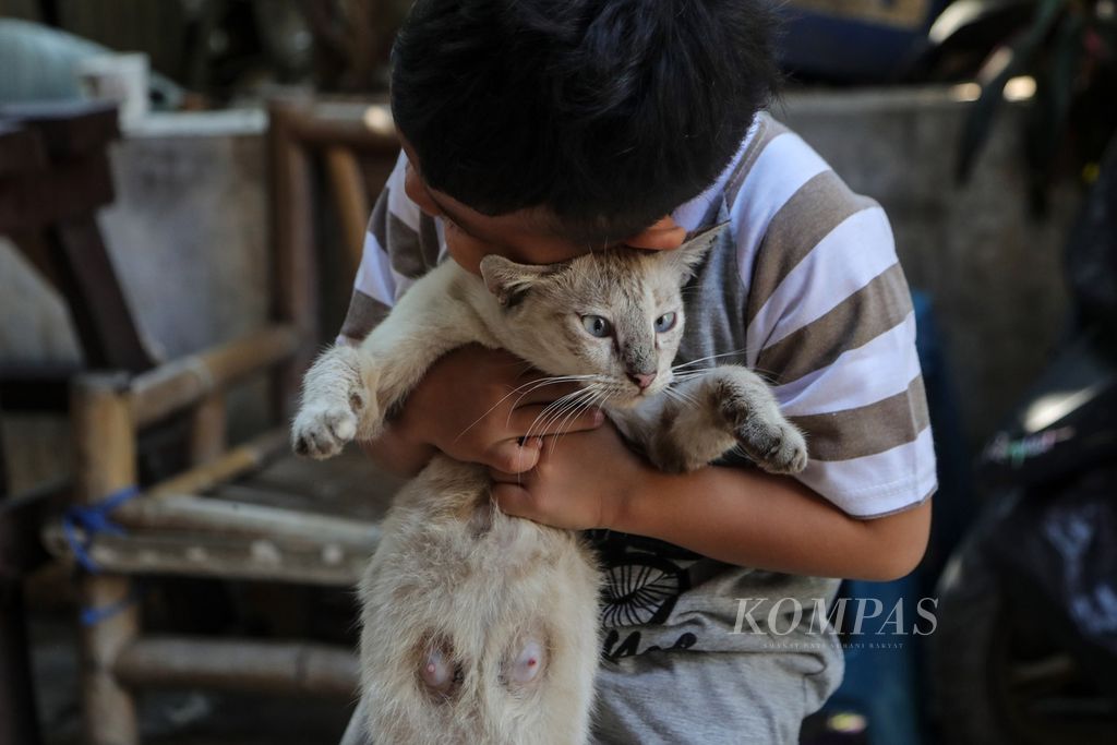 Seorang anak memeluk kucing liar di RW 005 Sunter Agung, Jakarta Utara, Rabu (19/7/2023). 