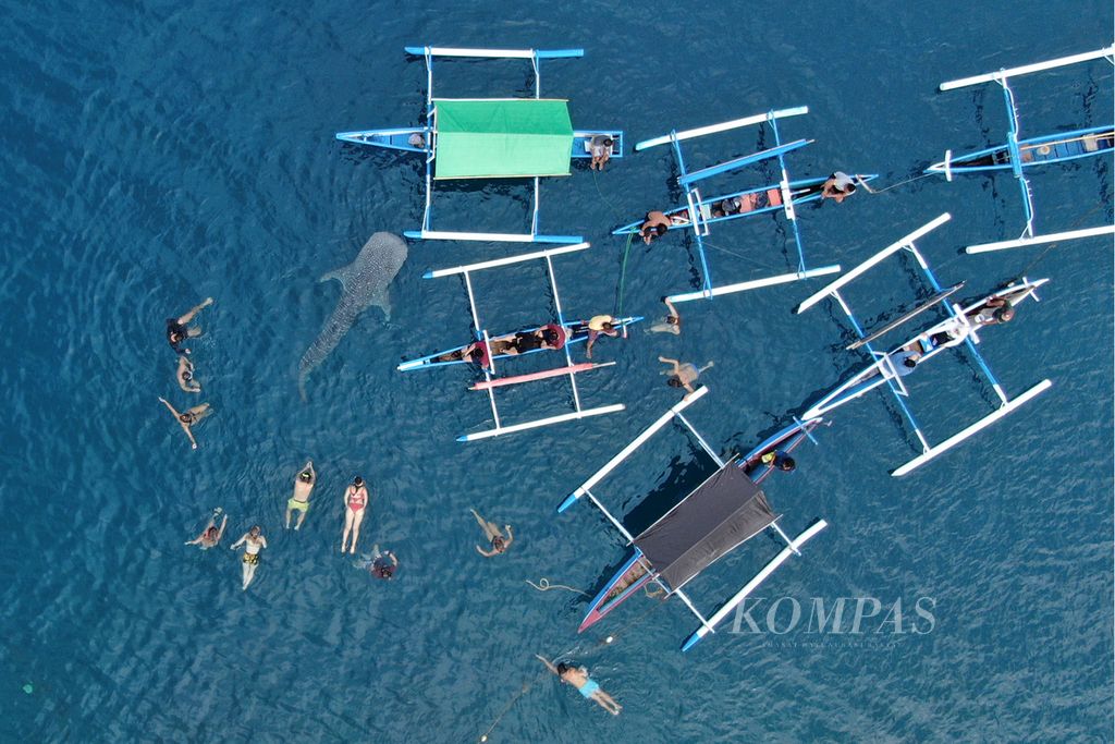 Wisatawan, sebagian besar dari mancanegara, melihat hiu paus (<i>Rhincodon typus</i>) di pantai Desa Botubarani, Kabupaten Bone Bolango, Provinsi Gorontalo, Juli 2022. 