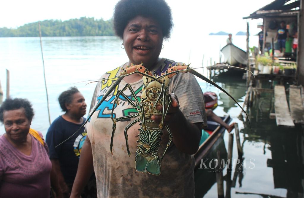 Mama-mama Kampung Kapatcol, Misool Barat, Kabupaten Raja Ampat, Papua Barat Daya, menunjukkan lobster hasil dari buka sasi, Rabu (27/3/2024). 