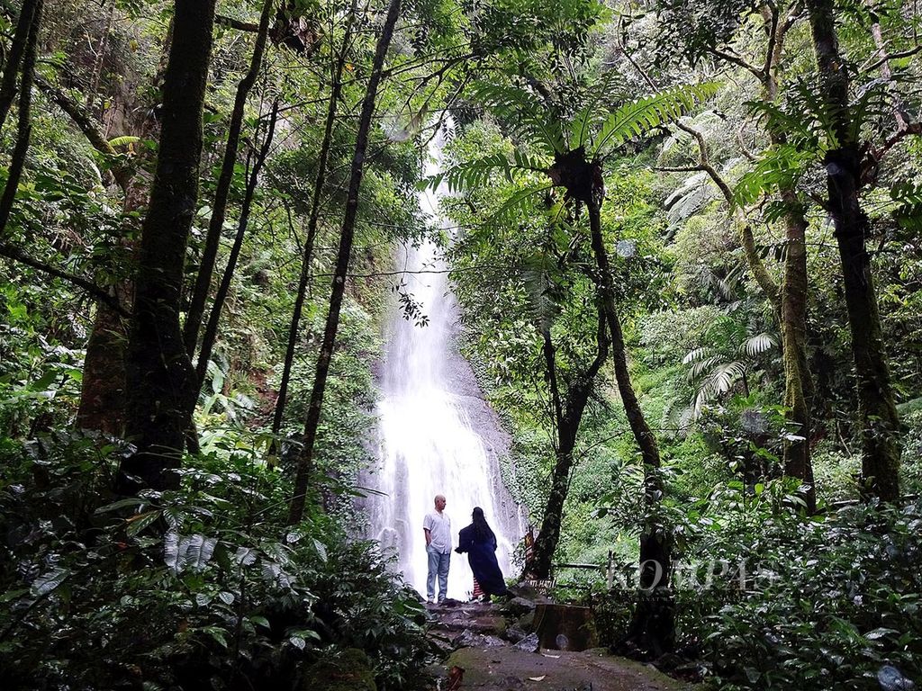 Ilustrasi. Tak hanya satwa, Taman Safari Indonesia di Bogor, Jawa Barat, ini juga menyajikan keindahan air terjun yang dikelilingi alam hutan khas pegunungan, Sabtu (14/1/2017).