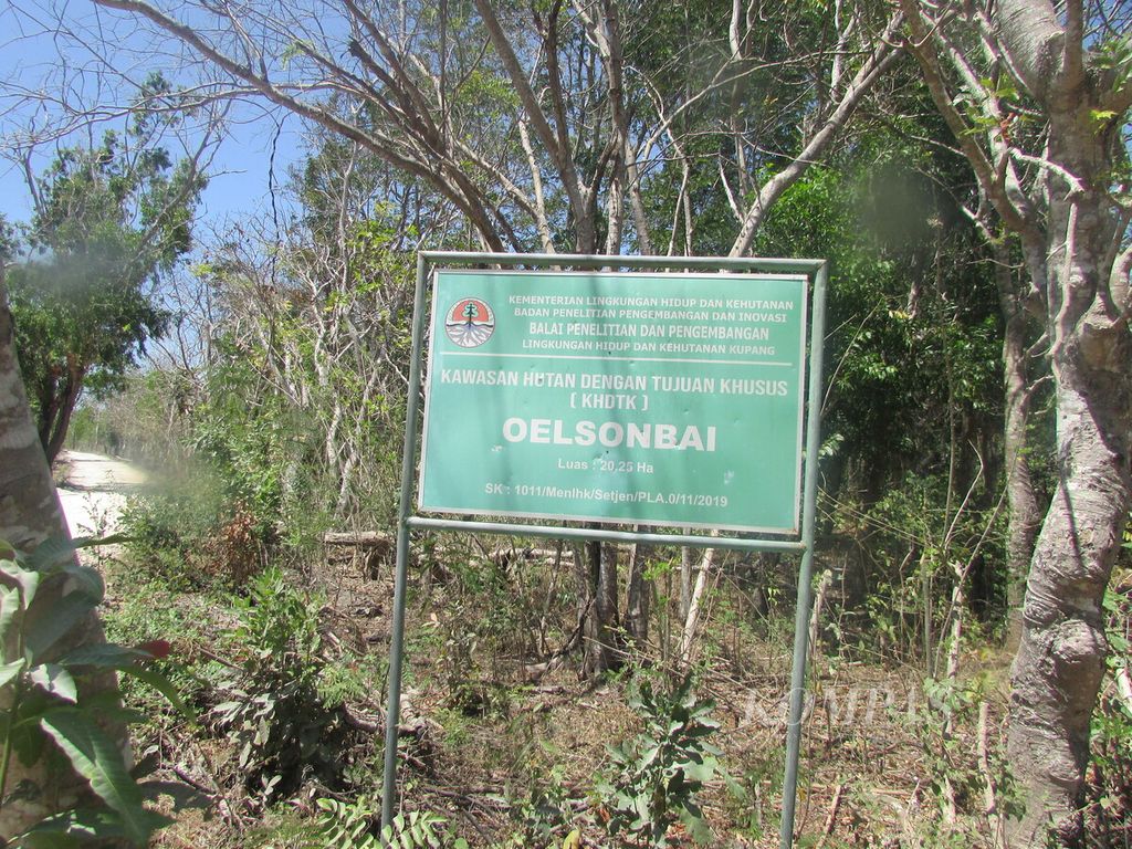 Papan nama hutan lindung dengan tujuan tertentu Oelsonbai seluas 20 hektar lebih di pinggiran Kota Kupang, Jumat (15/9/2023). Kebakaran terjadi di sisi kanan dari plang tersebut.