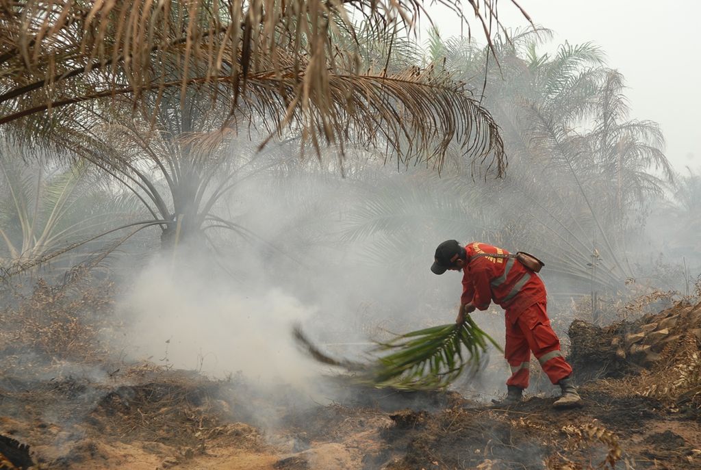 Petugas Manggala Agni Jambi berjuang mengendalikan bara yang masih menyala di balik permukaan gambut perkebunan sawit swasta Desa Pematang Raman, Kumpeh, Kabupaten Muaro Jambi, Jumat (11/10/2019). 