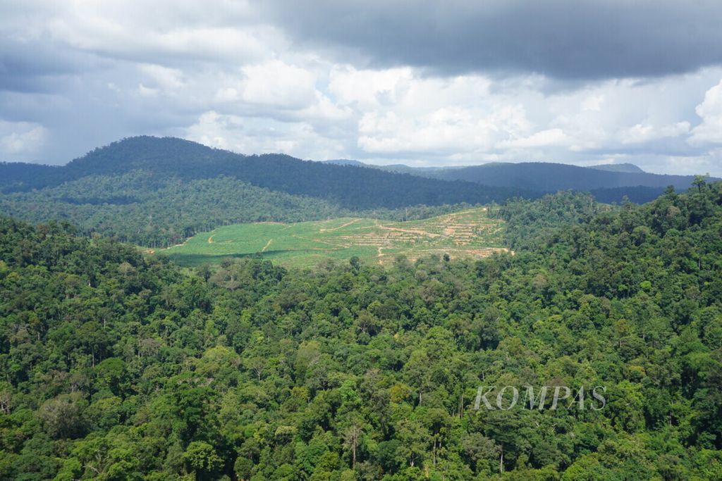 Kawasan hutan adat di Kinipan yang dibuka untuk perusahaan perkebunan sawit di Lamandau, Kalimantan Tengah, Rabu (9/9/2020). Kawasan adat itu masuk dalam konsesi perizinan sawit.