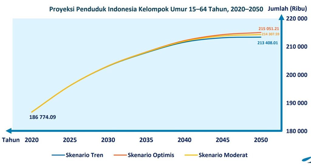 Selama masa bonus demografi, Indonesia mengalami lonjakan jumlah penduduk usia produktif antara 15-65 tahun. Pada 2045, Indonesia diperkirakan memiliki 213,2 juta penduduk usia produktif.