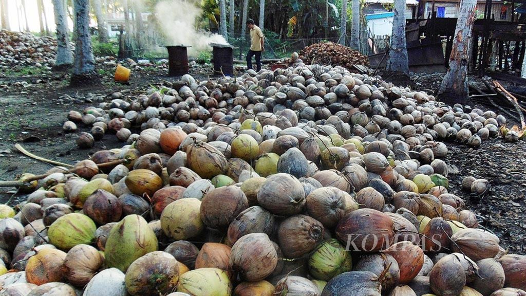 Lebih dari 1.000 kelapa siap diproses menjadi kopra di Desa Polebungin, Kecamatan Bontomanai, Kabupaten Kepulauan Selayar, Sulawesi Selatan, Sabtu (7/7/2018).