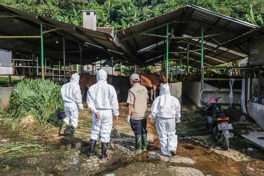 Satgas PMK serta Dinas Ketahanan Pangan dan Pertanian (DKPP) Kota Bogor, Selasa (21/6/2022), memeriksa kesehatan sapi di Rumah Pemotongan Hewan (RPH) Bubulak. 