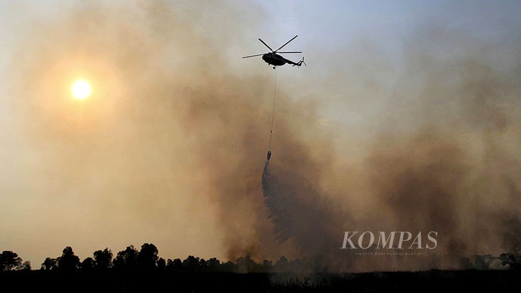 Kebakaran hutan dan lahan di kawasan Rambutan, Kabupaten Ogan Ilir, Sumatera Selatan, 2017.