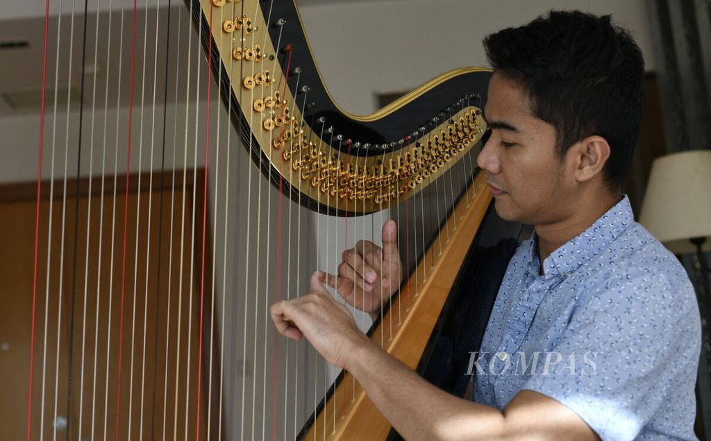 Pemain harpa Rama Widi