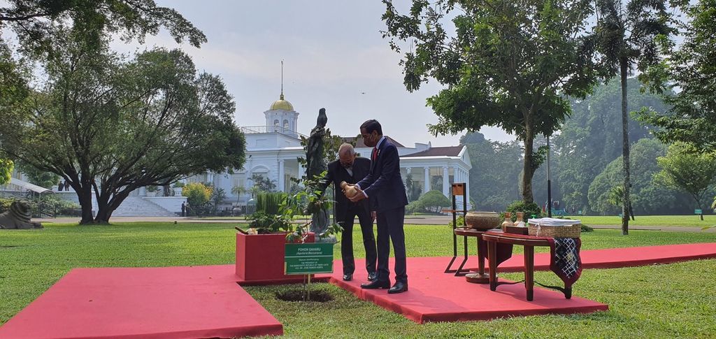 Presiden Joko Widodo menyiram setelah menanam pohon gaharu bersama Presiden Republik Demokratik Timor Leste José Ramos Horta di halaman Istana Kepresidenan Bogor, Selasa (19/7/2022). Pohon menjadi lambang persahabatan kedua negara