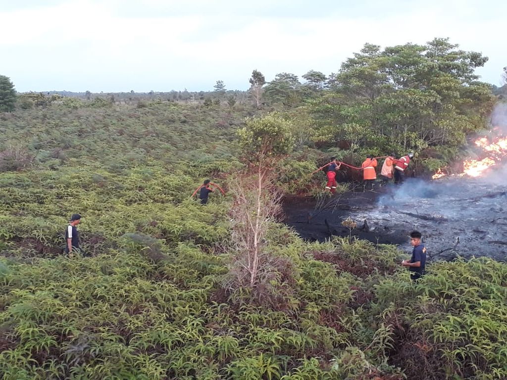 Petugas Dinas Kebakaran Kabupaten Natuna berusaha memadamkan kebakaran di lahan gambut bekas produksi sawit di Kecamatan Bunguran Utara, Natuna, Kepulauan Riau, Selasa (17/1/2023).