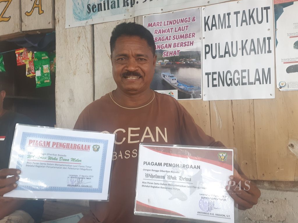 Wilhelmus Wokadewa Melur shows the certificate of appreciation he received from efforts to save baby turtles on the coast of Solor Island, East Flores Regency, NTT, Monday (10/4/2023).