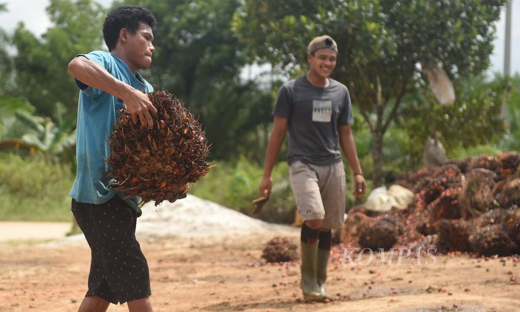 Pekerja memindahkan sawit yang terjatuh dari mobil bak terbuka kiriman petani di Desa Bukit Raya, Kecamatan Sepaku, Kabupaten Penajam Paser Utara, Kalimantan Timur, 27 Juli 2022. Pada tahun 2021 dan 2022, Indonesia mendapat manfaat dari harga komoditas tambang, batubara, dan sawit yang tinggi di pasar dunia. 