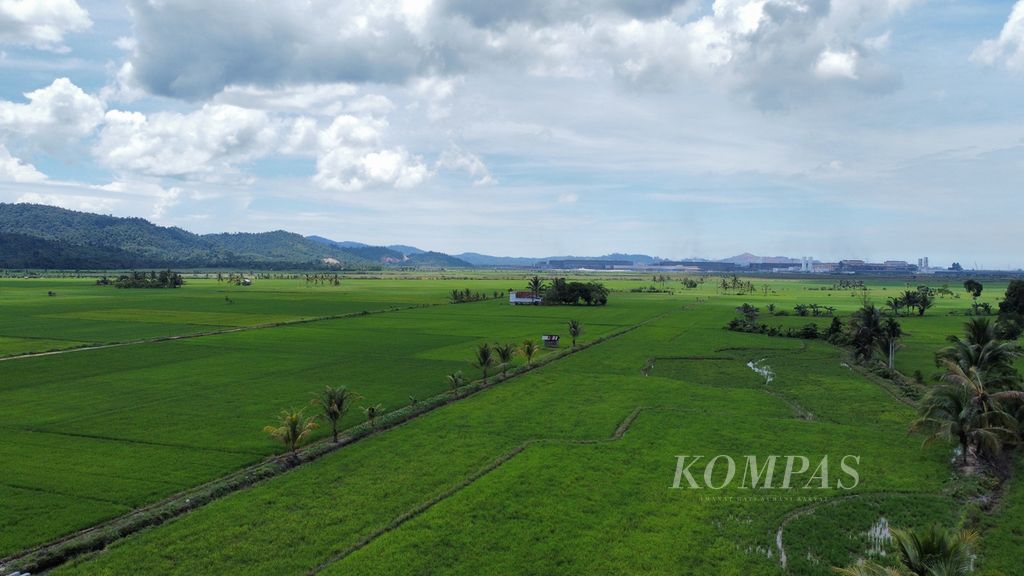 The expanse of farmland bordering nickel processing or smelting industries in Paku Jaya Village, Bondoala, Konawe, Southeast Sulawesi, on Thursday (March 30, 2023), has continued to shrink as a result of the massive nickel processing industry. A similar situation has also occurred in other areas of Southeast Sulawesi due to the opening of large-scale mining.