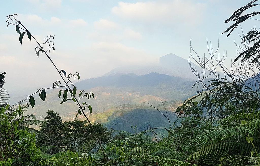 Lintasan BDG Ultra 100 yang berlangsung pada Sabtu dan Minggu (16-17 September) melewati empat puncak gunung di sekitar Bandung, yakni Palasari, Bukit Tunggul, Tangkubanparahu, dan Gunung Burangrang. 