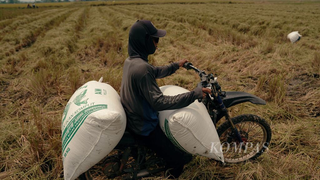 Ojek membawa hasil panen padi di Desa Karangreja, Kecamatan Pebayuran, Kabupaten Bekasi, Jawa Barat, Kamis (19/5/2022). Mesin penggerak ekonomi desa berupa BUMDesa. 