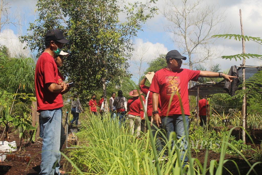 Kebun milik JPIC Kalimantan menanam berbagai jenis pangan lokal dari berbagai wilayah di Kalteng. Kebun itu dikunjungi para peserta dalam kegiatan Temu Tani di Kota Palangkaraya, Kalteng, Selasa (31/5/2022).