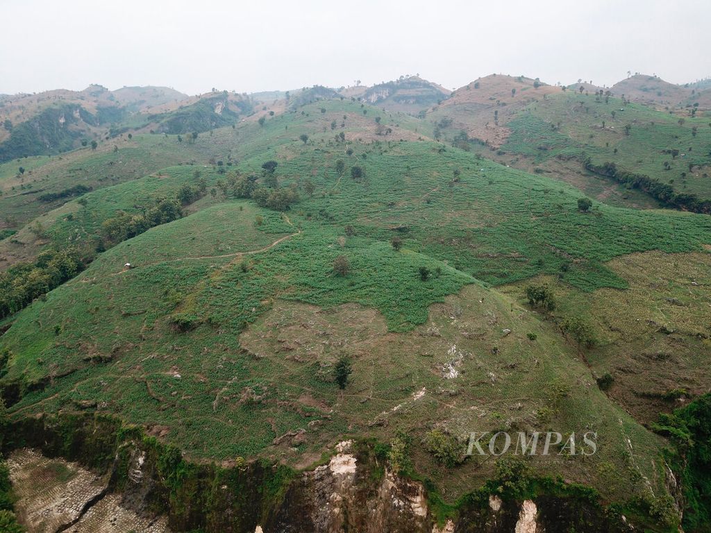 Lahan hutan jati milik Perhutani yang berubah menjadi lahan pertanian jagung menjadi persoalan lingkungan selain penambangan di Kecamatan Sukolilo, Kabupaten Pati, Jawa Tengah, Kamis (16/3/2023). 