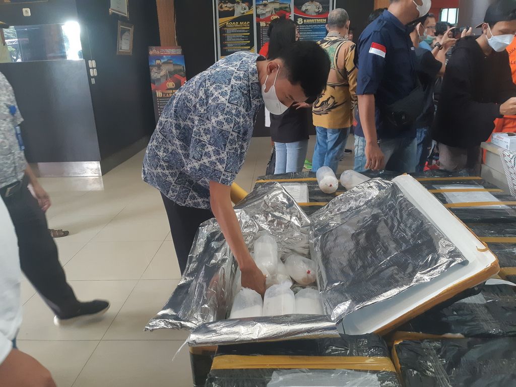 The Palembang City Police confiscated a total of 98,620 transparent lobster seeds worth IDR 15.3 billion from two perpetrators who were attempting to smuggle these lobster seeds in Lubulinggau on Friday (22/10/2021).