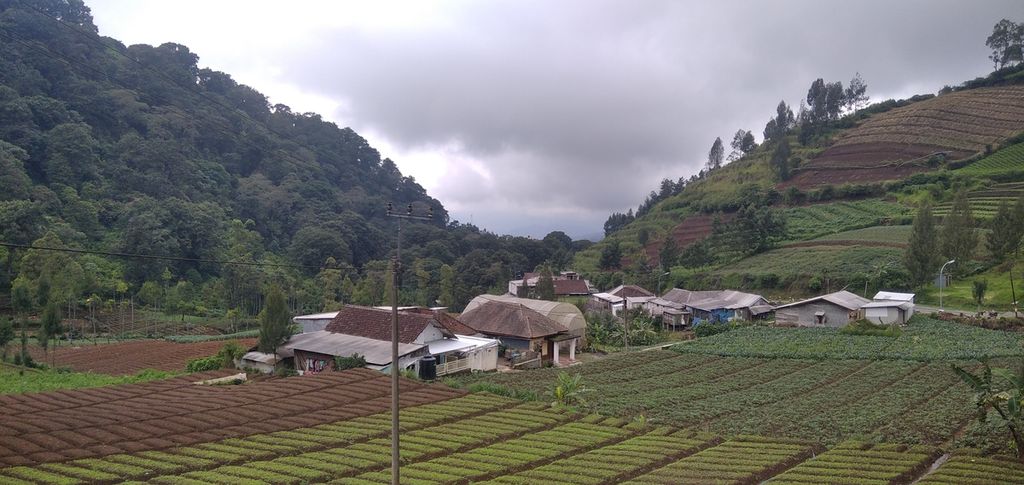Sebuah permukiman diapit oleh hutan di sisi kiri (kaki Gunung Arjuno) kawasan pertanian di sisi kanan (bukit) di hulu Kota Batu, Jawa Timur, atau beberapa meter setelah memasuki gapura Taman Hutan Raya R Soerjo, Kamis (25/11/2021).