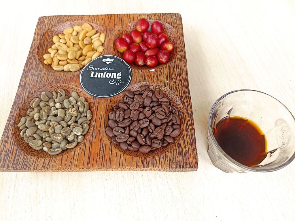 (Dari kanan atas berlawanan arah jarum jam) buah ceri kopi yang baru dipanen, gabah kering, beras kopi (<i>greenbean</i>), biji sangrai (<i>roastbean</i>). Foto diambil di Kecamatan Lintong Nihuta, Kabupaten Humbang Hasundutan, Sumatera Utara, Jumat (21/6/2024). 