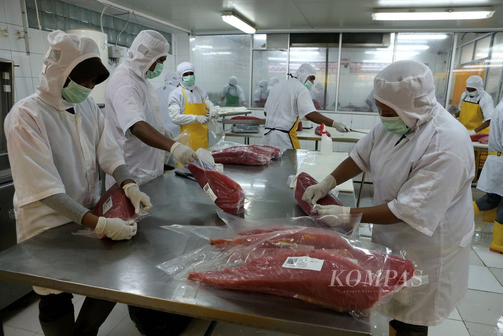 Karyawan perusahaan pengolahan makanan laut PT Harta Samudra tengah memproses ikan tuna sirip kuning kualitas ekspor di Kota Ambon, Maluku, Kamis (9/2/2017). Debitor BNI tersebut pada tahun 2016 mampu mengekspor hampir 700 ton ikan olahan, yang sebagian besar dikirim ke Amerika Serikat.
