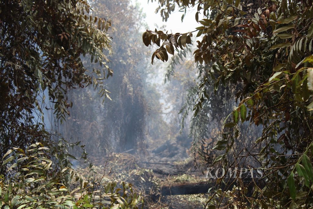 Kebakaran menghanguskan kawasan terbengkalai di Sabaru, Kota Palangkaraya, Kalteng, Senin (9/10/2023). Lahan itu setidaknya sudah hampir dua minggu tak kunjung padam dan terus meluas hingga mendekati permukiman masyarakat.