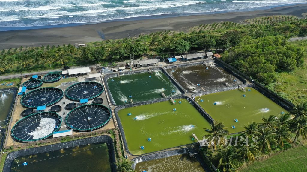 Foto udara tambak udang vaname PT Nayottama Kelola Laut Indonesia di Tasikmalaya, Jawa Barat, Minggu (7/8/2022). Tambak tersebut mulai menerapkan teknologi <i>recirculating aquaculture system</i> (RAS) menggunakan kolam bundar.