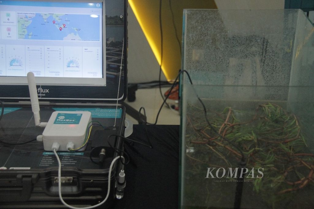 Alat sensor berbasis IoT untuk memantau konservasi hutan bakau di Banda Aceh yang dilakukan oleh Indosat Ooredoo Hutchison bekerja sama dengan Dinas Perikanan dan Kelautan Aceh serta Universitas Syiah Kuala, Senin (22/4/2024). 