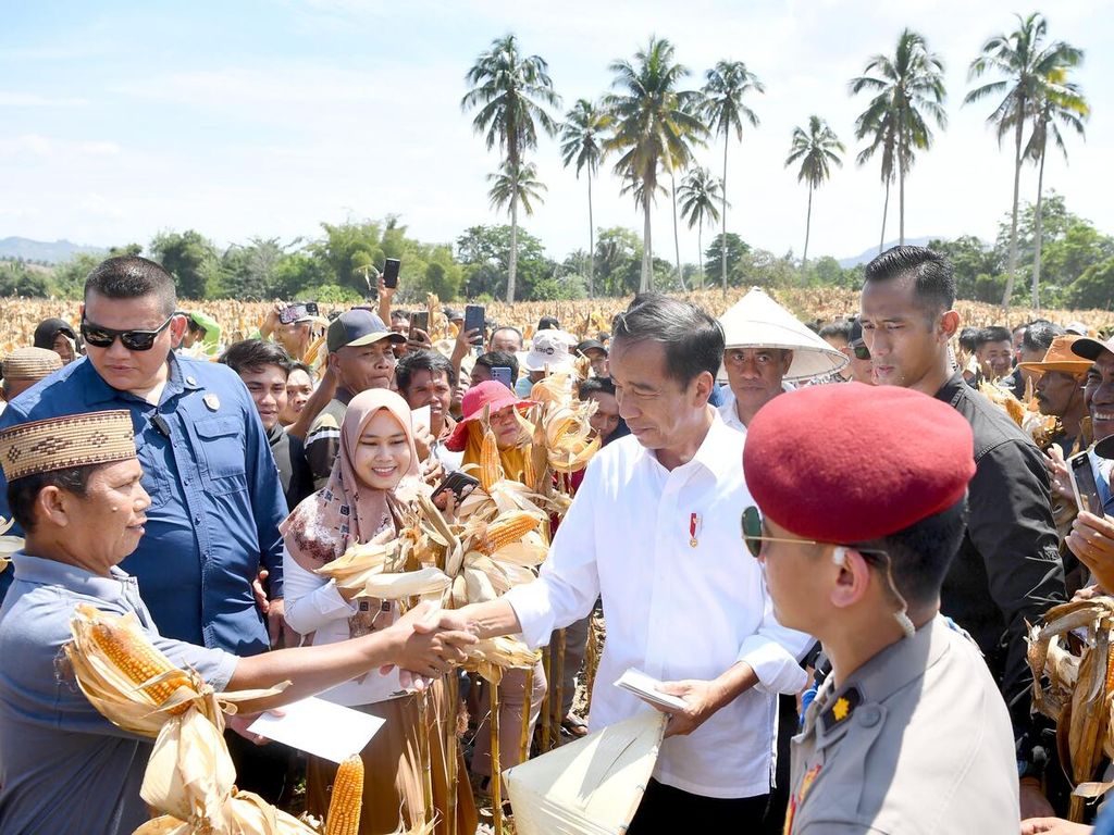 Presiden Jokowi memberikan bantuan kepada petani seusai meninjau panen jagung di Kabupaten Boalemo, Provinsi Gorontalo, Senin (22/4/2024).